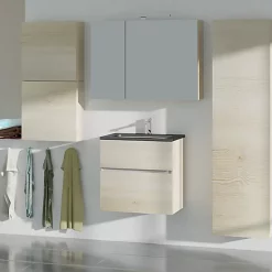 Castorama Miroir éclairant Aspect Chêne Naturel Calao 90 Cm