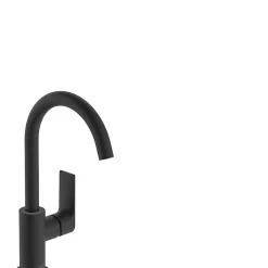 Castorama Mitigeur De Lavabo Rebris E 210 Avec Bec Orientable, Tirette Et Vidage Noir Mat